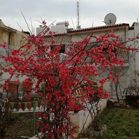 Dream In Kavala 2020 Renovated, Sunny Apartment Exterior photo