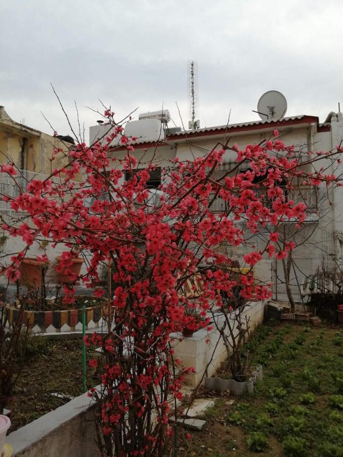 Dream In 2020 Renovated, Sunny Apartment